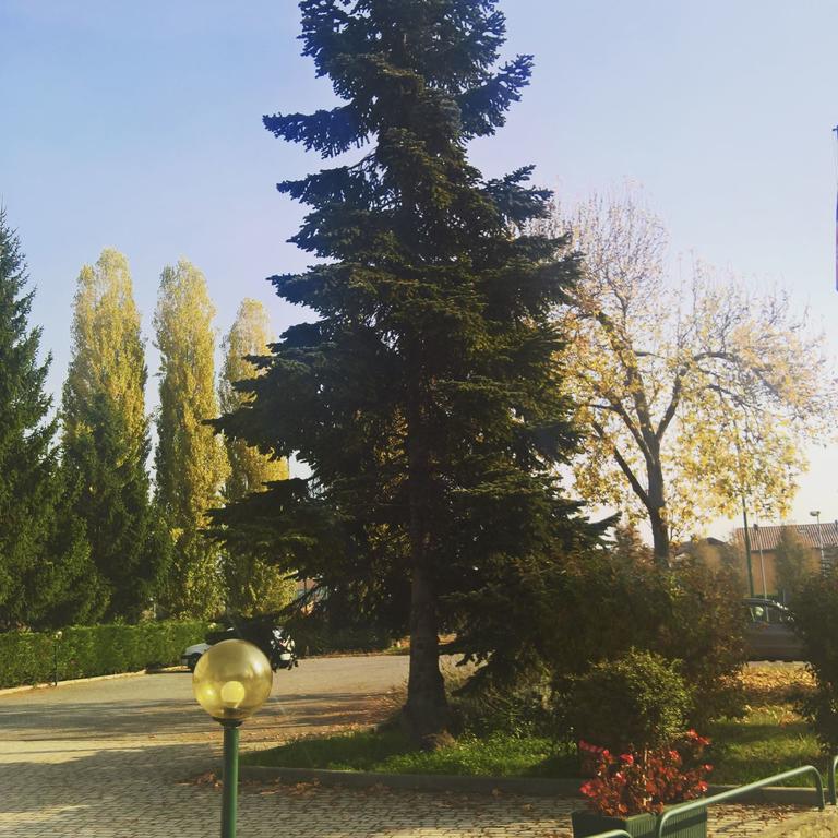 Hotel Romanisio Фоссано Экстерьер фото