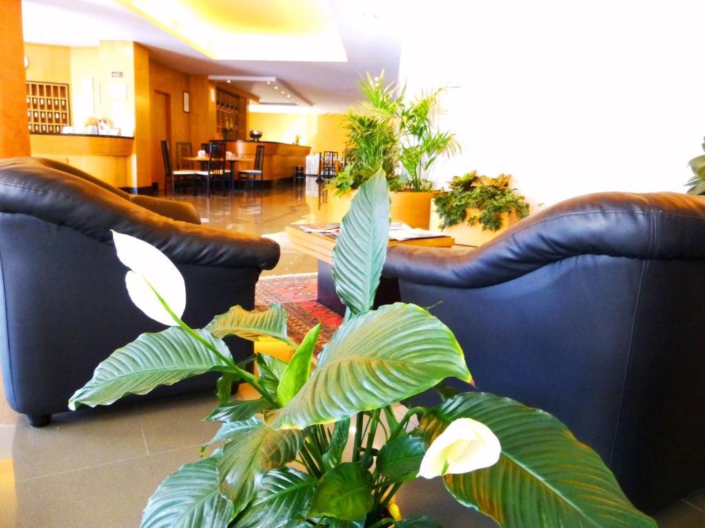 Hotel Romanisio Фоссано Экстерьер фото